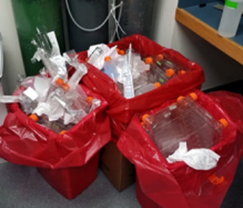 Large Scale Production Of Animal Cell Culture Pdf / Bioreactors for animal cell suspension culture : We did not find results for: