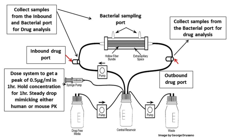 hollow_fiber_pretest_study_scheme